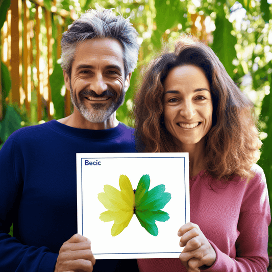 Curso de Como Escrever um Plano de Negócios Vencedor em 2 Horas - IBRATH Instituto Brasileiro de Terapias Holísticas teste031020231005