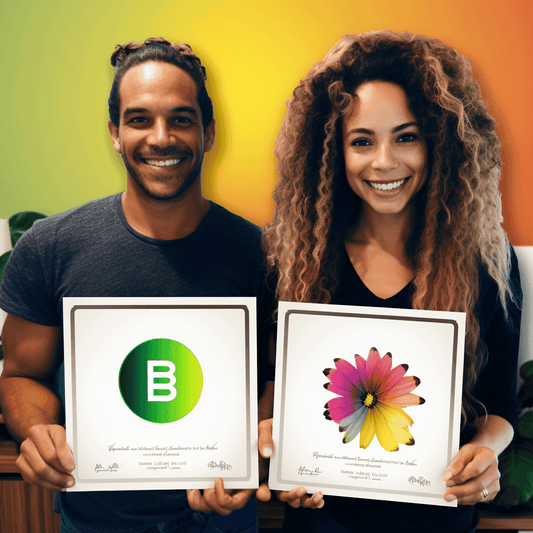 Curso de Torne o Business Model Canvas uma ARMA - IBRATH Instituto Brasileiro de Terapias Holísticas teste031020231005