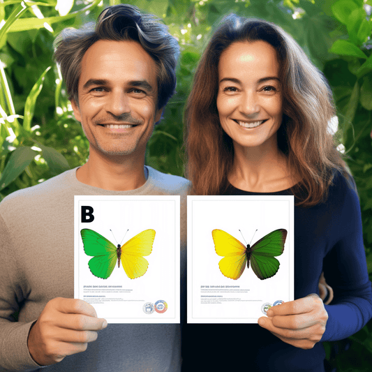 Curso de Como começar um negócio de pintura - IBRATH Instituto Brasileiro de Terapias Holísticas teste031020231005