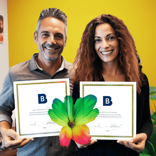 Curso de Minas de Ouro nos Negócios em Casa - IBRATH Instituto Brasileiro de Terapias Holísticas teste031020231005