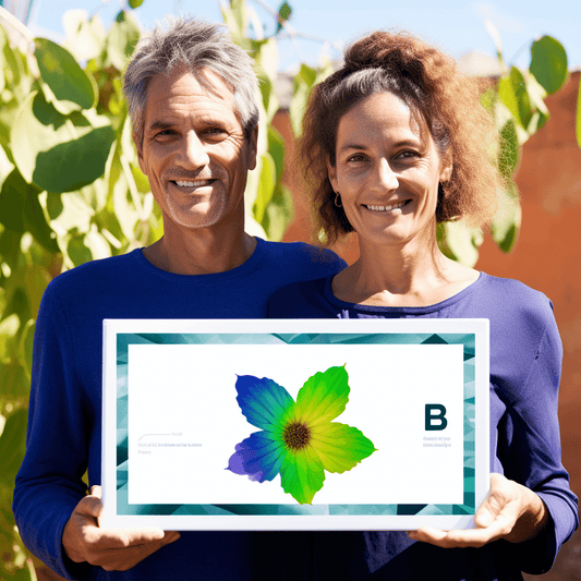 Curso de O Método Amazon Nomad - Venda na Amazon de qualquer lugar - IBRATH Instituto Brasileiro de Terapias Holísticas teste031020231005