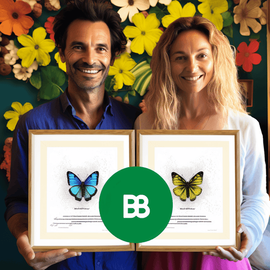 Curso de Programa de Treinamento Empresarial 90 Dias Para a Liberdade - IBRATH Instituto Brasileiro de Terapias Holísticas teste031020231005