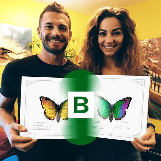 Curso de Um Guia para Consultoria Profissional - Parte Dois - IBRATH Instituto Brasileiro de Terapias Holísticas teste031020231007