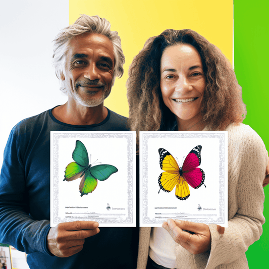 Curso de Como criar uma LLC - IBRATH Instituto Brasileiro de Terapias Holísticas teste031020231007