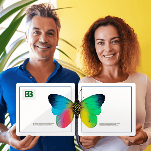 Curso de Curso completo de treinamento em GDPR para usuários finais com certificação - IBRATH Instituto Brasileiro de Terapias Holísticas teste031020231007