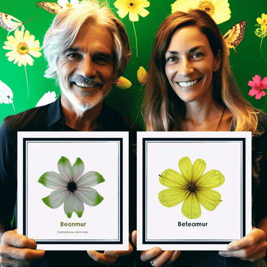 Curso de Domine as principais habilidades de freelancer de 2023 - IBRATH Instituto Brasileiro de Terapias Holísticas teste031020231005