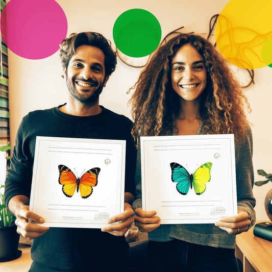 Curso de O Novo Marco Legal das Startups - IBRATH Instituto Brasileiro de Terapias Holísticas teste031020231007