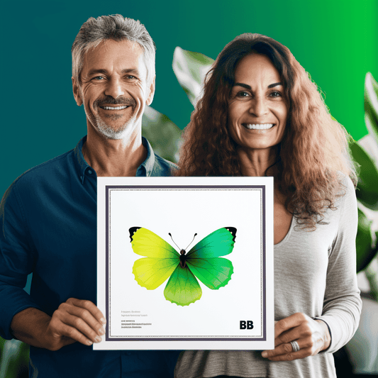 Curso de Animação de Quadro Branco Videoscribe para Negócios Freelance - IBRATH Instituto Brasileiro de Terapias Holísticas teste031020231005