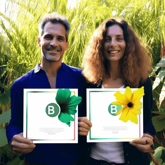 Curso de Aprenda o básico do Power BI - IBRATH Instituto Brasileiro de Terapias Holísticas teste031020231007