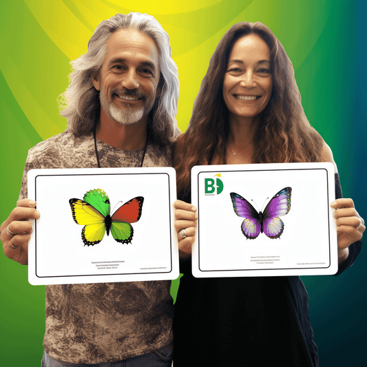 Curso de Fundamentos do Empreendedorismo - Como começar um negócio - IBRATH Instituto Brasileiro de Terapias Holísticas teste031020231005