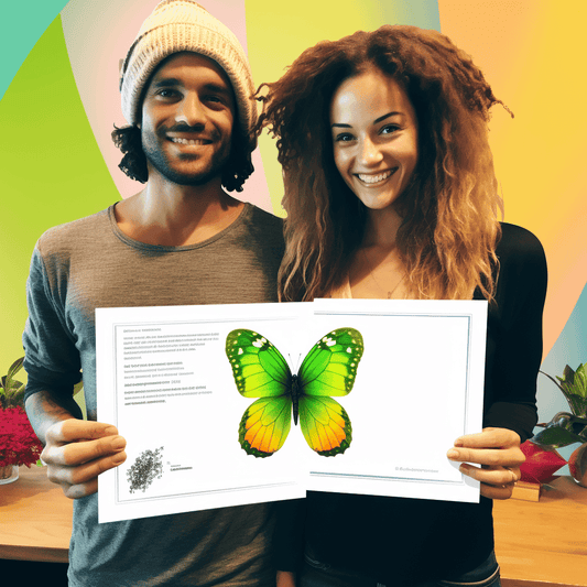 Curso de Startups e Pessoas: Dominando o combustível que impulsiona as startups - IBRATH Instituto Brasileiro de Terapias Holísticas teste031020231005