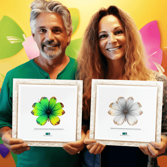 Curso de Torne-se um especialista na indústria de desbloqueio de celulares em 2 horas! - IBRATH Instituto Brasileiro de Terapias Holísticas teste031020231005