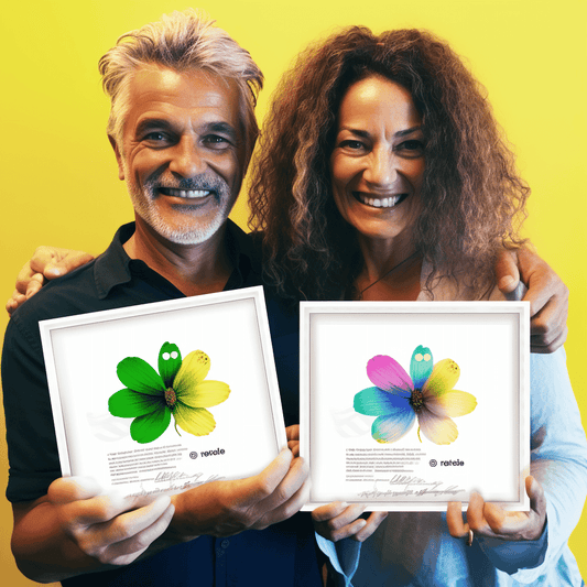 Curso de Crie um site profissional para o seu negócio (Wordpress) - IBRATH Instituto Brasileiro de Terapias Holísticas teste031020231005