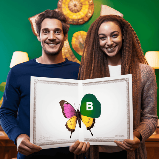 Curso de Ninja Freelancer: Os segredos de um começo bem-sucedido - IBRATH Instituto Brasileiro de Terapias Holísticas teste031020231005