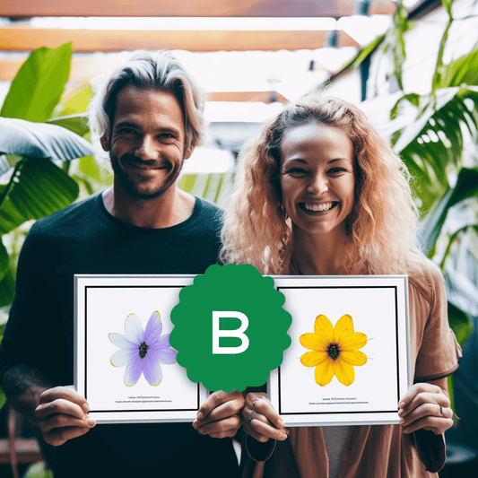 Curso de Crie sua própria Identidade Corporativa - IBRATH Instituto Brasileiro de Terapias Holísticas teste031020231005