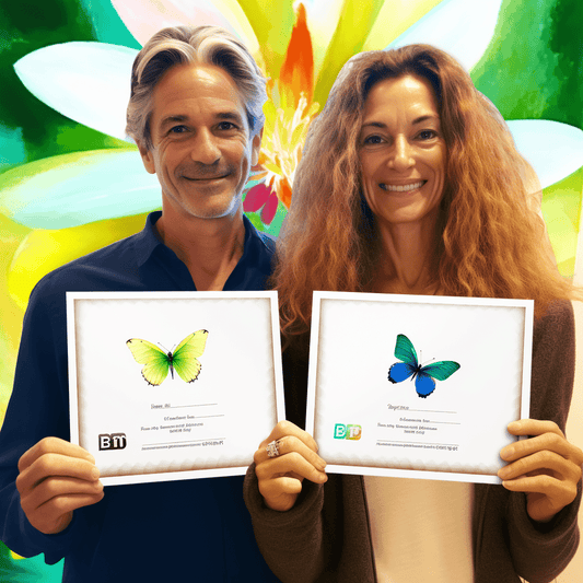 Curso de O Advogado de Meio Período com Seis Dígitos - Mini-curso - IBRATH Instituto Brasileiro de Terapias Holísticas teste031020231005