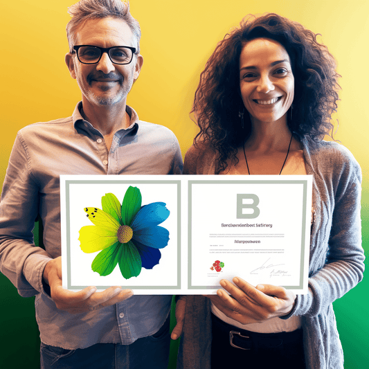 Curso de Como criar um site WordPress lucrativo em 2020 - IBRATH Instituto Brasileiro de Terapias Holísticas teste031020231005