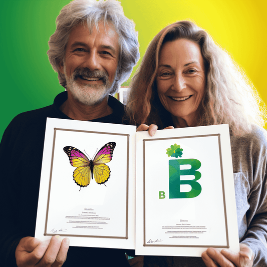 Curso de Como criar um site profissional com WordPress 2020 - IBRATH Instituto Brasileiro de Terapias Holísticas teste031020231005