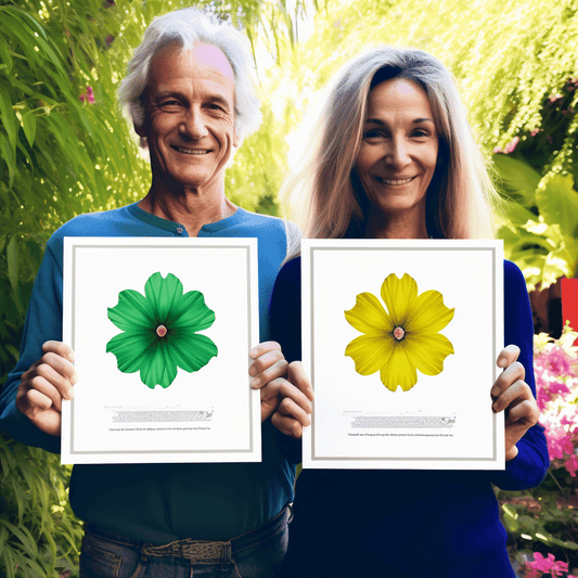 Curso de Os Fundamentos da Negociação de Contratos - Curso de A a Z - IBRATH Instituto Brasileiro de Terapias Holísticas teste031020231005