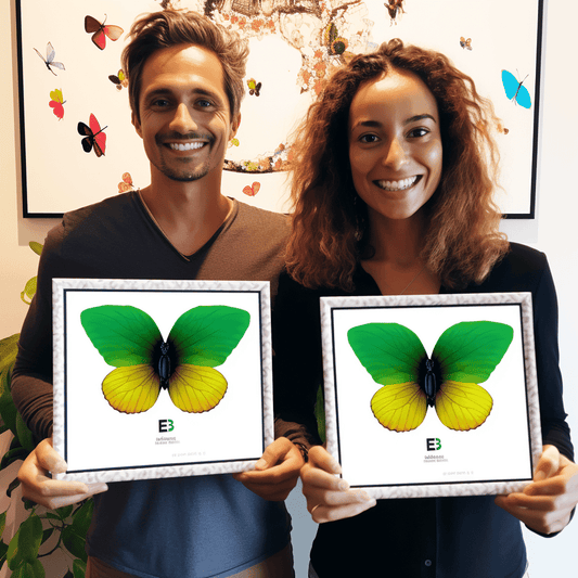 Curso de Negócios da música para artistas - Preparando uma campanha de lançamento - IBRATH Instituto Brasileiro de Terapias Holísticas teste031020231005