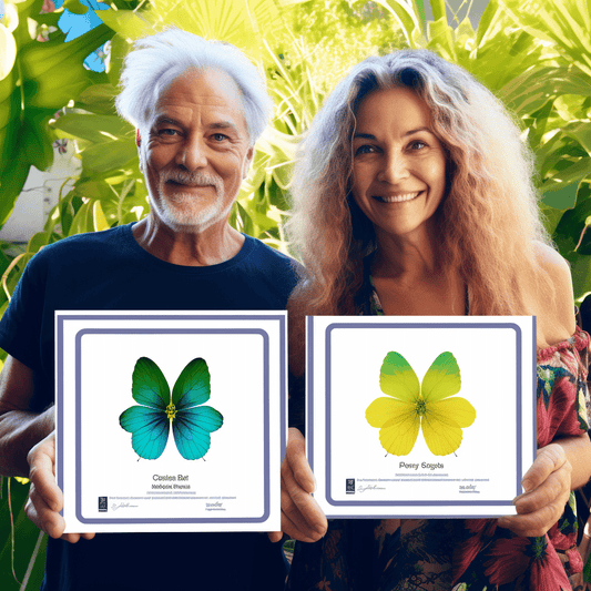 Curso de Contrate e construa seu projeto com sucesso como empreendedor - IBRATH Instituto Brasileiro de Terapias Holísticas teste031020231005