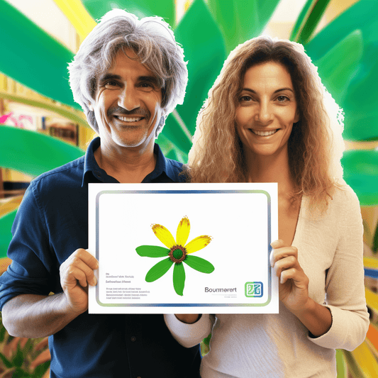 Curso de Como ser um freelancer de sucesso para design e desenvolvimento web - IBRATH Instituto Brasileiro de Terapias Holísticas teste031020231005