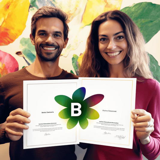 Curso de O Mercado e a Prática da Tradução - IBRATH Instituto Brasileiro de Terapias Holísticas teste031020231005