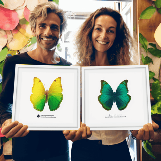 Curso de Marcenaria Moderna Descomplicada - 3 em 1 - IBRATH Instituto Brasileiro de Terapias Holísticas teste031020231005