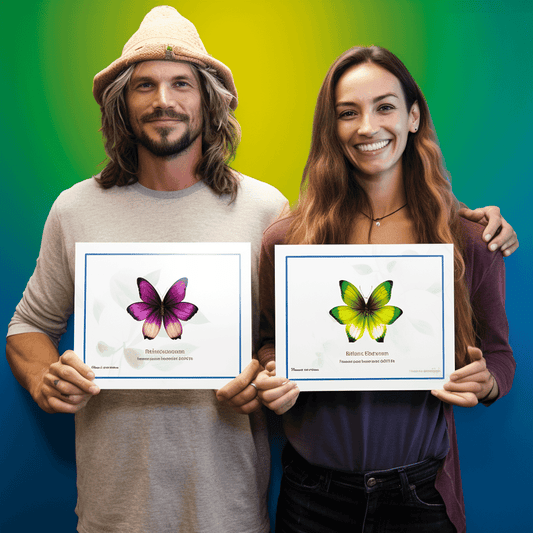 Curso de Marketing Oportuno para Empreendedores - IBRATH Instituto Brasileiro de Terapias Holísticas teste031020231005