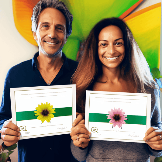 Curso de Seu plano de negócios passo a passo - IBRATH Instituto Brasileiro de Terapias Holísticas teste031020231005