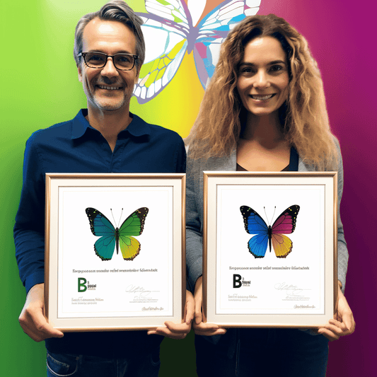 Curso de Aprender como ter um blog LUCRATIVO começando do zero. - IBRATH Instituto Brasileiro de Terapias Holísticas teste031020231005