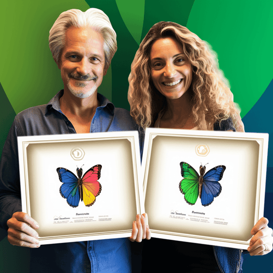 Curso de Como Escrever o Post de Blog Perfeito 2023 - IBRATH Instituto Brasileiro de Terapias Holísticas teste031020231005