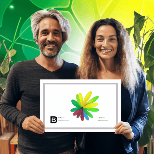 Curso de Inicie uma marca de Streetwear e venda roupas no Shopify - IBRATH Instituto Brasileiro de Terapias Holísticas teste031020231005