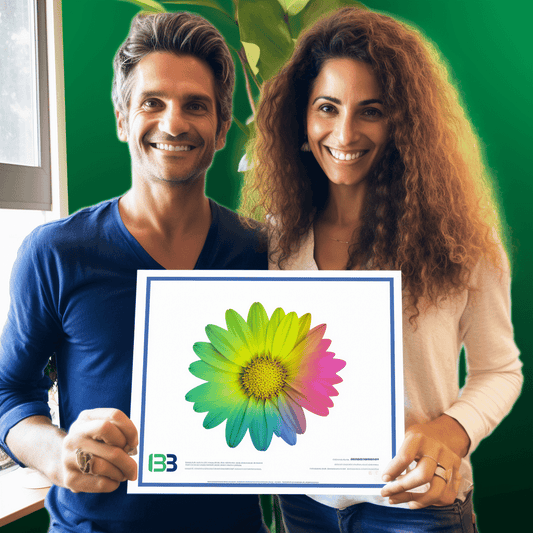 Curso de Competências Interpessoais Essenciais para o Profissional Técnico Parte 1 - IBRATH Instituto Brasileiro de Terapias Holísticas teste031020231005