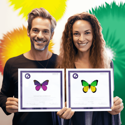 Curso de Construindo sua própria gravadora digital de música e distribuição - IBRATH Instituto Brasileiro de Terapias Holísticas teste031020231005