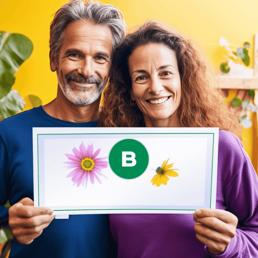 Curso de Como os VCs de Seed pensam sobre startups com Sramana Mitra - IBRATH Instituto Brasileiro de Terapias Holísticas teste031020231005