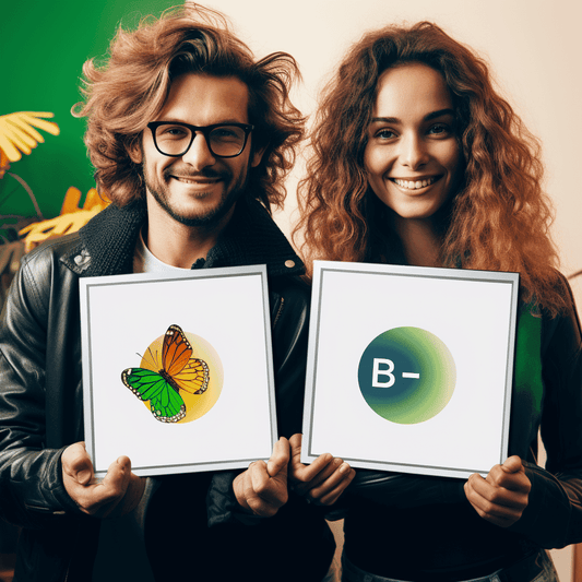 Curso de Conquiste o Trabalho! Noções Básicas de Marketing para Freelancers e Solopreneurs - IBRATH Instituto Brasileiro de Terapias Holísticas teste031020231005