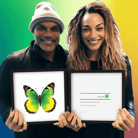 Curso de O guia completo para iniciar e desenvolver o seu projeto: 6 cursos em 24 horas - IBRATH Instituto Brasileiro de Terapias Holísticas teste031020231005