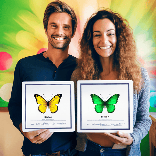 Curso de Aprenda a construir um PITCH vencedor - IBRATH Instituto Brasileiro de Terapias Holísticas teste031020231005