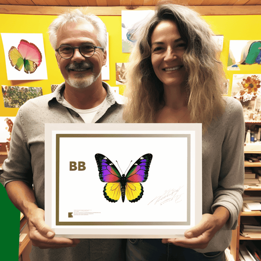 Curso de Técnicas de comunicação e networking para freelancers que conseguem trabalho - IBRATH Instituto Brasileiro de Terapias Holísticas teste031020231005