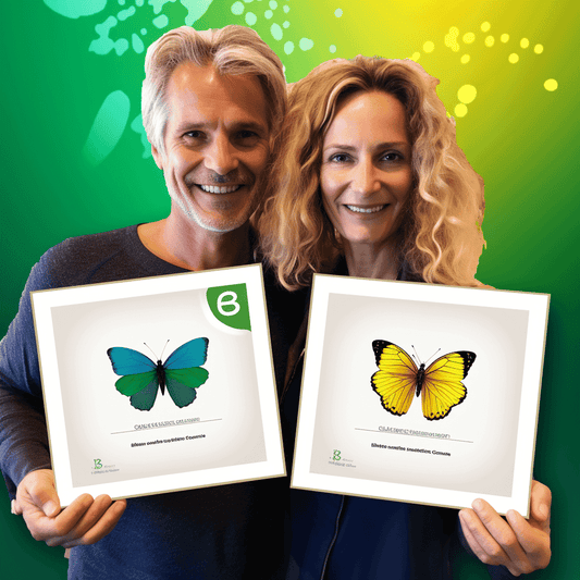 Curso de Fiverr Freelancing 2023: Trabalhando como Freelancer - IBRATH Instituto Brasileiro de Terapias Holísticas teste031020231005