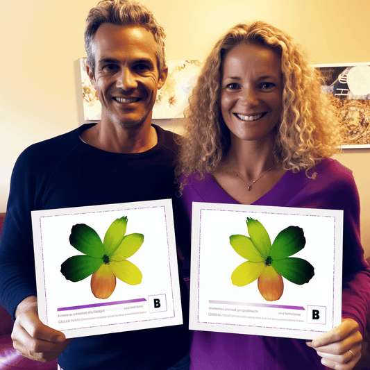 Curso de Obtenha a mentalidade de sucesso nos negócios com o controle de motivação que desperta a vontade de fazer! [Edição Iniciante] [Ensinado por consultores de gestão de recursos humanos] - IBRATH Instituto Brasileiro de Terapias Holísticas teste031020231005