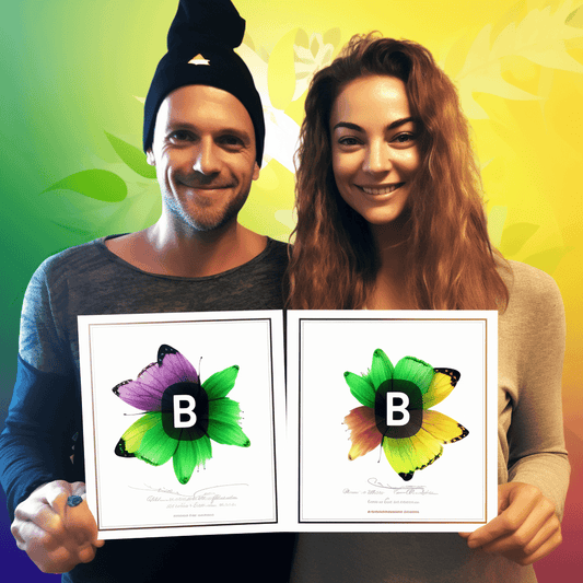 Curso de Como criar um negócio online de Drop Servicing passo a passo - IBRATH Instituto Brasileiro de Terapias Holísticas teste031020231005