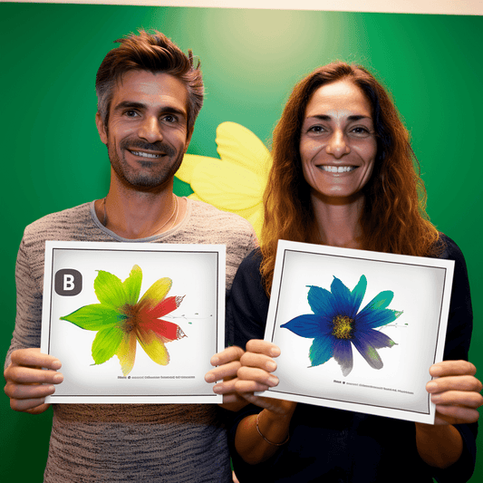 Curso de EMPREENDA PET - Transforme sua casa em uma hospedagem PET - IBRATH Instituto Brasileiro de Terapias Holísticas teste031020231005