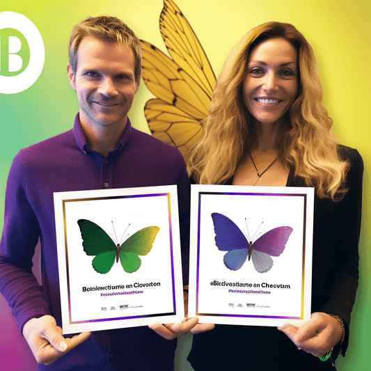 Curso de O GUIA de 0 a 2000 visitantes qualificados através do SEO ⭐ - IBRATH Instituto Brasileiro de Terapias Holísticas teste031020231005