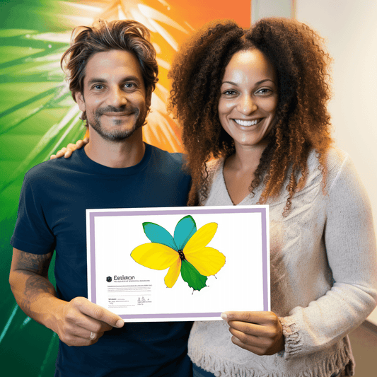 Curso de Negócio de Perfumes - Ganhe dinheiro revendendo perfumes. - IBRATH Instituto Brasileiro de Terapias Holísticas teste031020231005