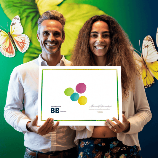 Curso de Como Captar Investimento para Empresas e Startups - 2023 - IBRATH Instituto Brasileiro de Terapias Holísticas teste031020231005