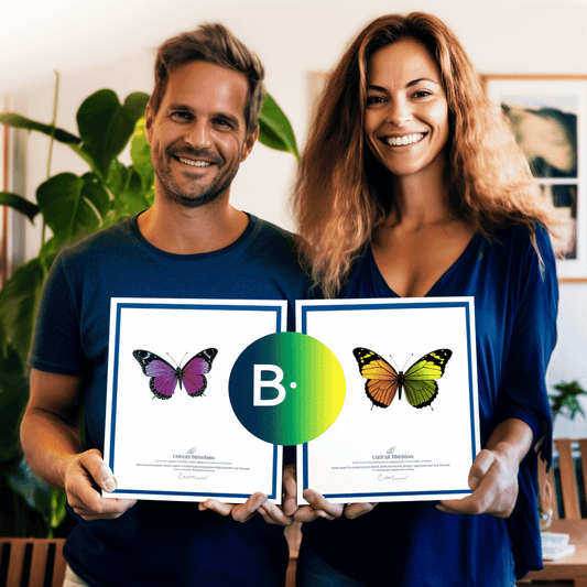 Curso de Nicho Perfeito - IBRATH Instituto Brasileiro de Terapias Holísticas teste031020231005