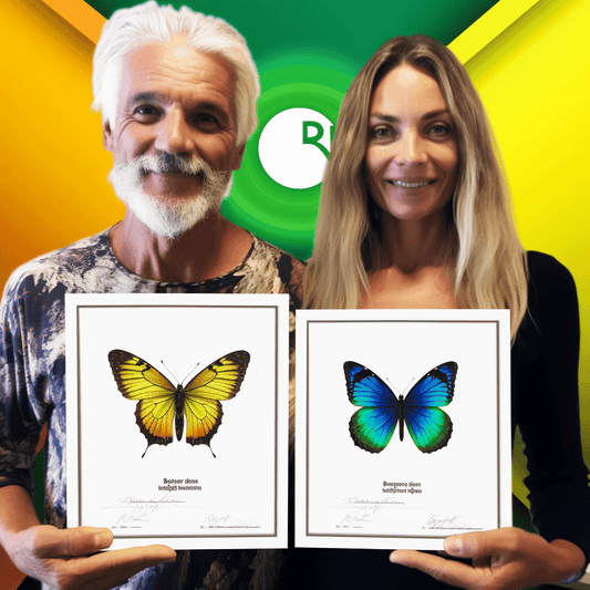 Curso de Conferência Online de Empreendedores 2019 - Desenvolvimento de Negócios - IBRATH Instituto Brasileiro de Terapias Holísticas teste031020231005