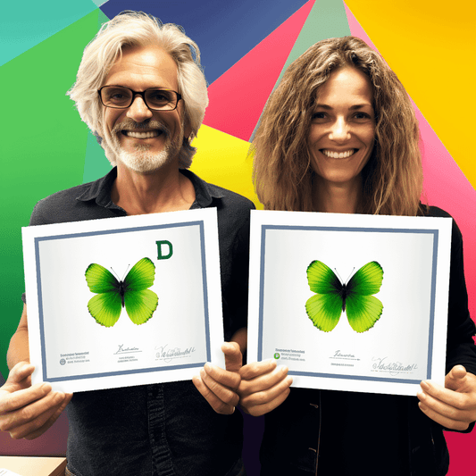 Curso de Como encontrar ideias de startups potenciais e lucrativas - IBRATH Instituto Brasileiro de Terapias Holísticas teste031020231005